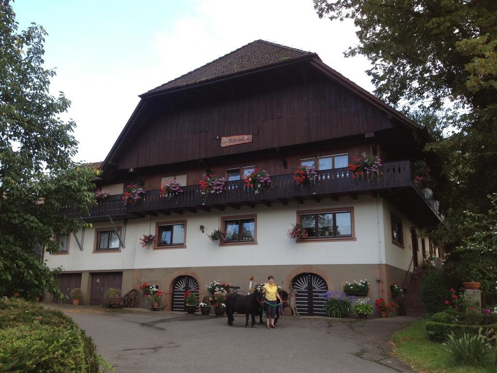 Mattenhof Zell am Harmersbach Kültér fotó