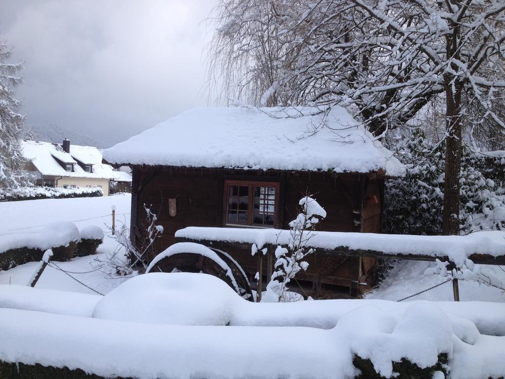 Mattenhof Zell am Harmersbach Kültér fotó