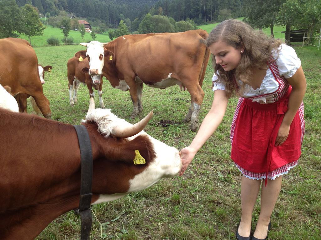 Mattenhof Zell am Harmersbach Kültér fotó