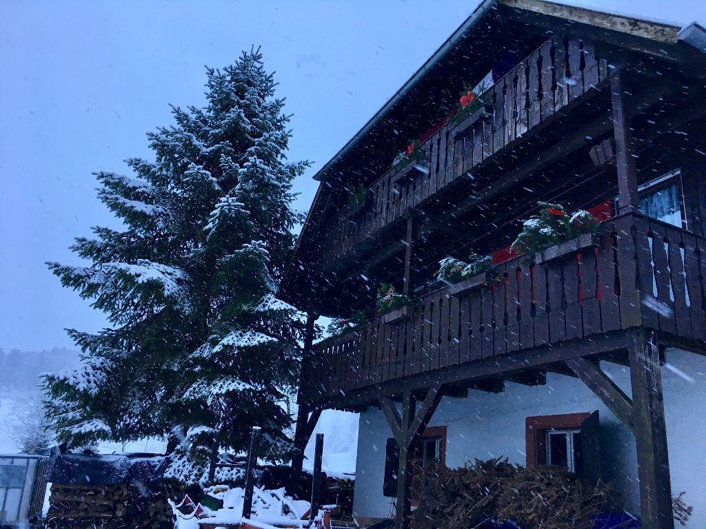 Mattenhof Zell am Harmersbach Kültér fotó