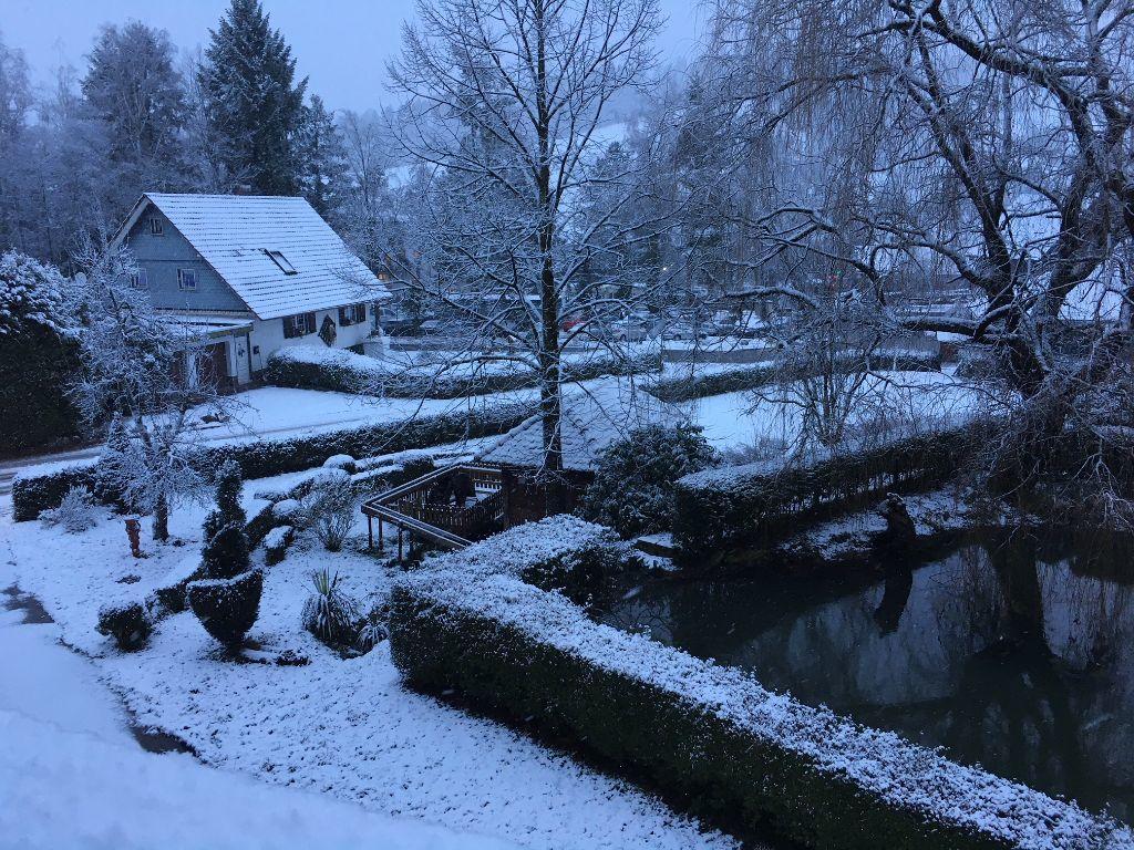 Mattenhof Zell am Harmersbach Kültér fotó